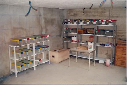 Toutes les cages entreposes dans mon garage!